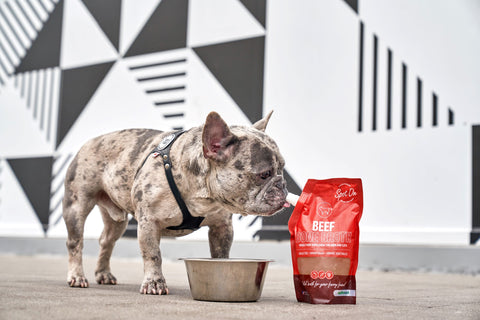 The Benefits of Bone Broth for Your Pup … and You!