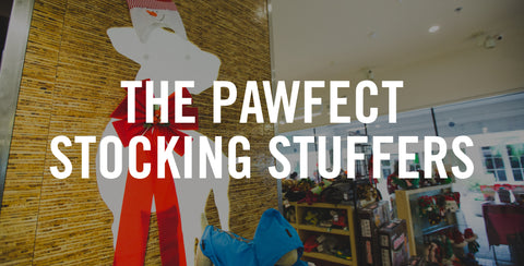 The Pawfect Stocking Stuffers