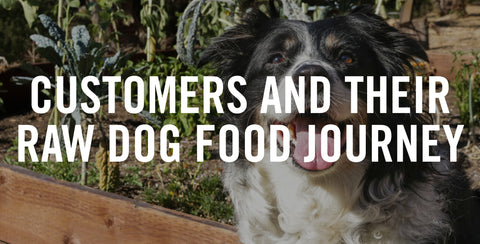 Customers And Their Raw Dog Food Journey