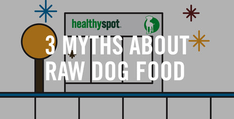 3 Myths About Raw Dog Food