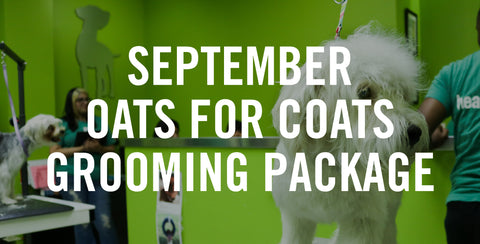 September Oats For Coats Grooming Package