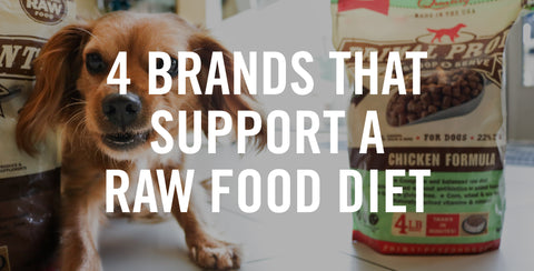 4 Brands That Support a Raw Food Diet