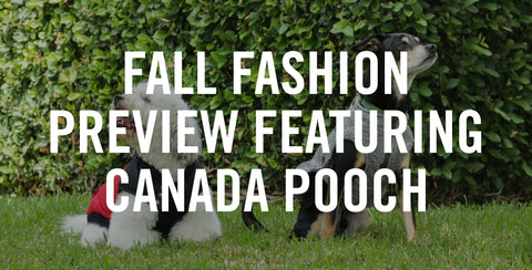 Fall Fashion Preview featuring Canada Pooch