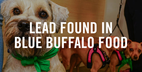 Lead Found in Blue Buffalo Food