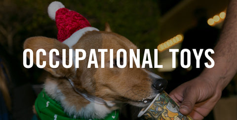 Occupational Toys for the Holiday Season (VIDEO)