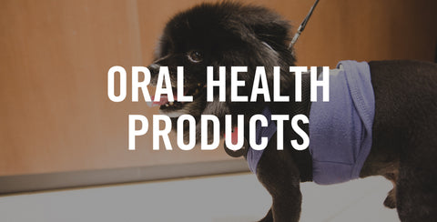 Our Favorite Pet Dental Health Products