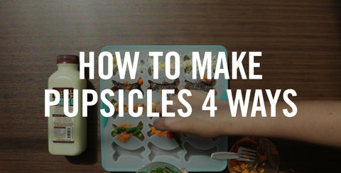 How To Make Pupsicles 4 Ways