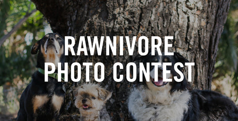 Rawnivore Photo Contest