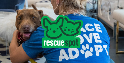 Introducing Rescue Spot!