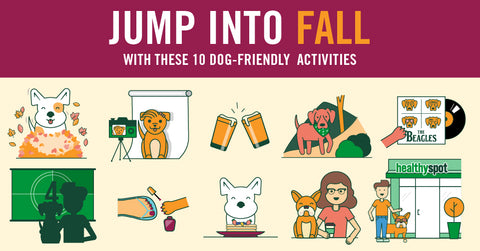 10 Things To Do With Your Pup This Fall
