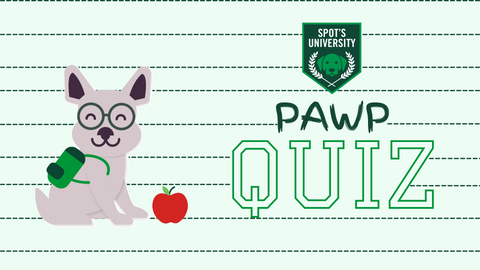 Pawp Quiz #1