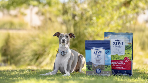 Get To Know ZIWI