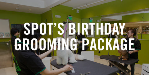 Spot's Birthday Grooming Package