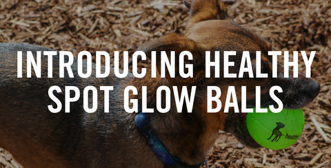 Dog Toys: Healthy Spot Glow Balls