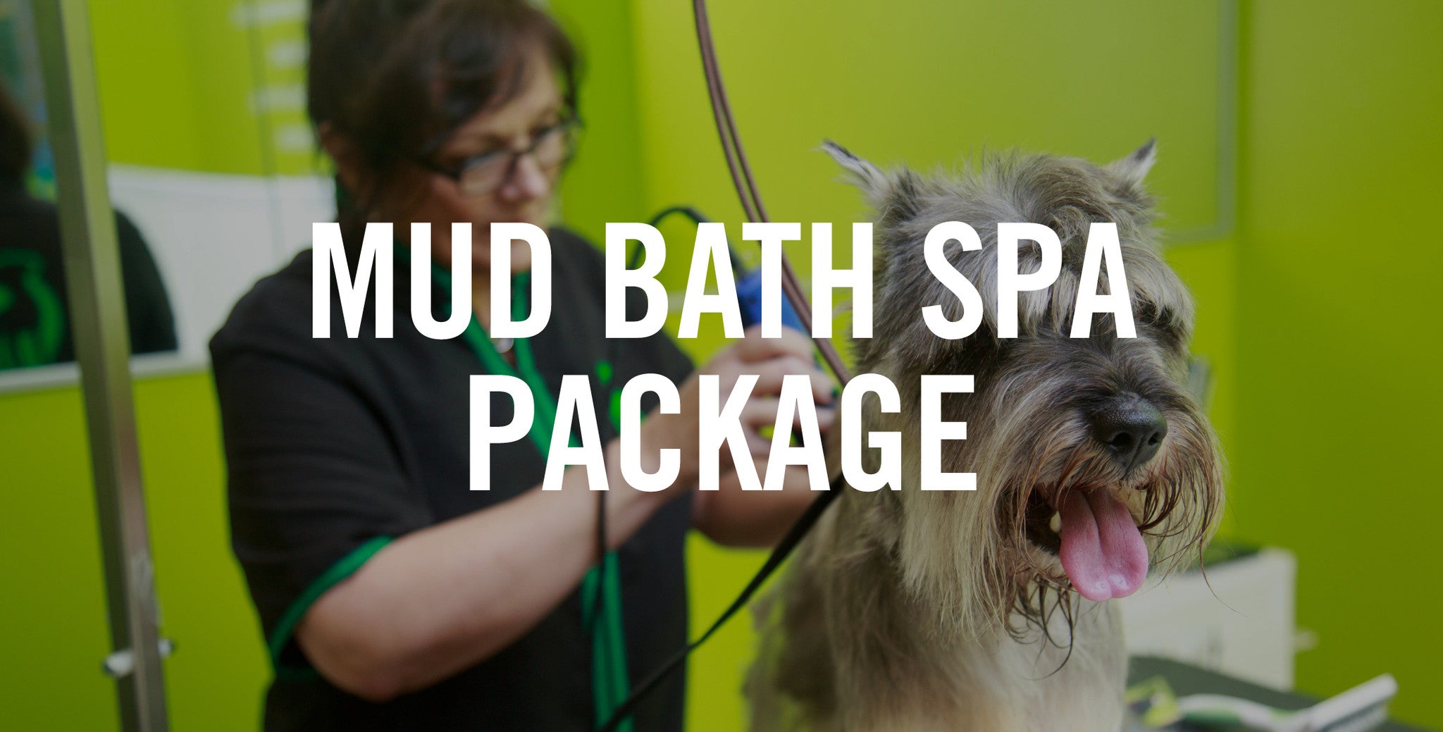 Mud bath for sales dogs