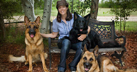 Jennifer McCarthy World Class Dog Training Classes Starting Soon!