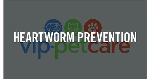 Heartworm Prevention Tips