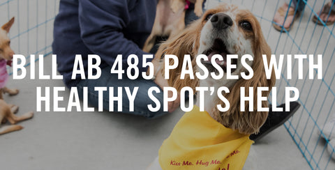 Bill AB 485 Passes With Healthy Spot's Help