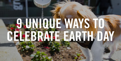 9 Unique Ways to Celebrate Earth Day with Your Pet