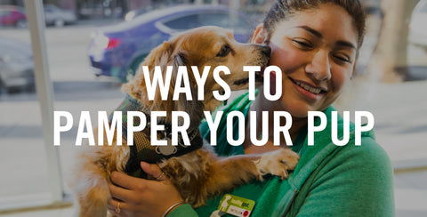 Ways To Pamper Your Pup
