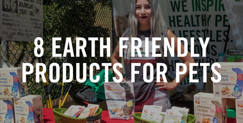8 Earth Friendly Products for Your Pet