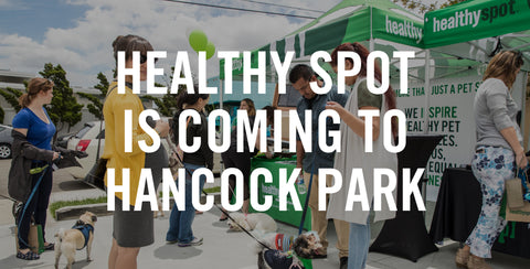 Healthy Spot Is Coming To Hancock Park