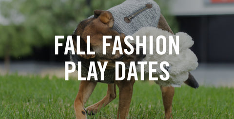 Fall Fashion Show Play Dates