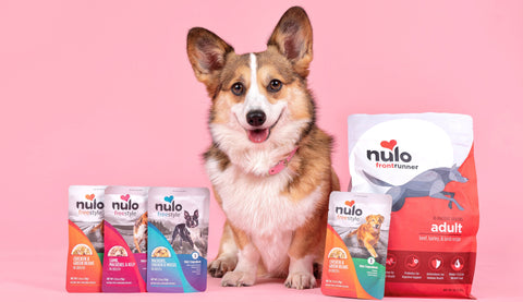 Meet Nulo, Our Newest Pet Food Partner!
