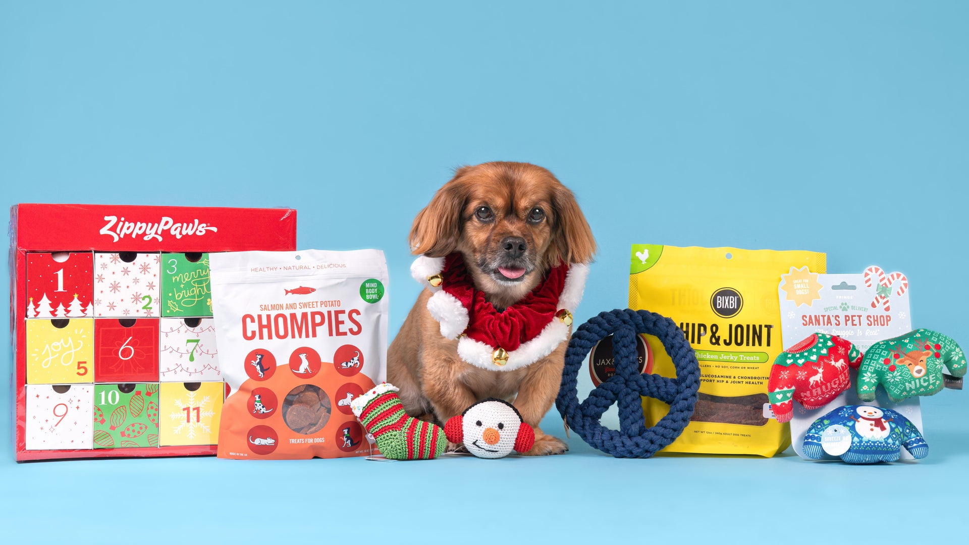 Paws'-itively spoiled: Gifts for pets and pet owners alike - Gift Shop  Magazine