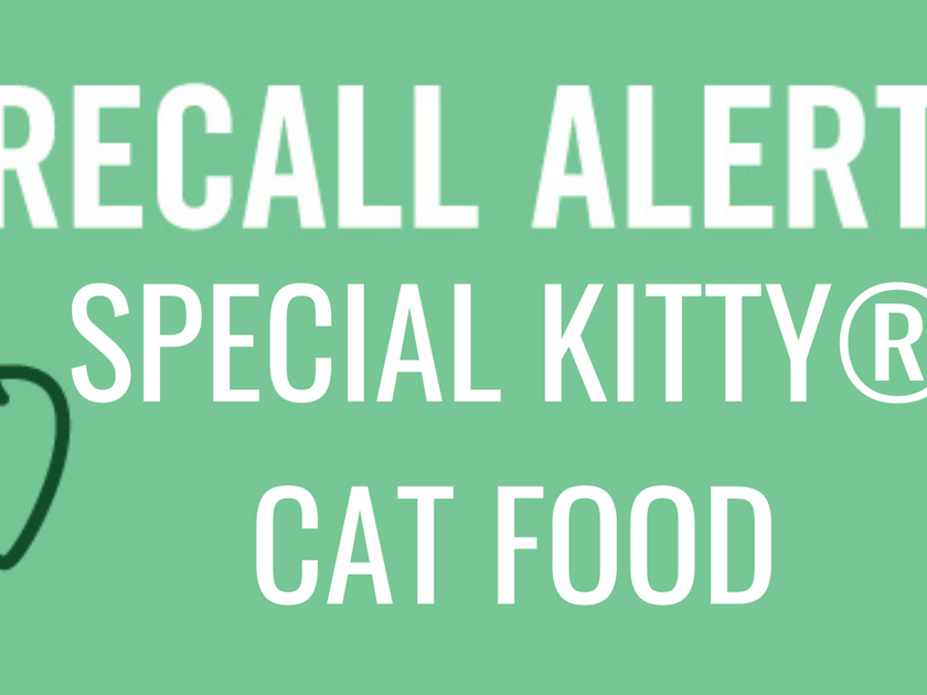 8 Reasons Why A Pet Is Better Than A Significant Other HEALTHY SPOT