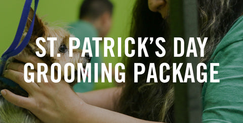 St. Patrick's Day Grooming Package