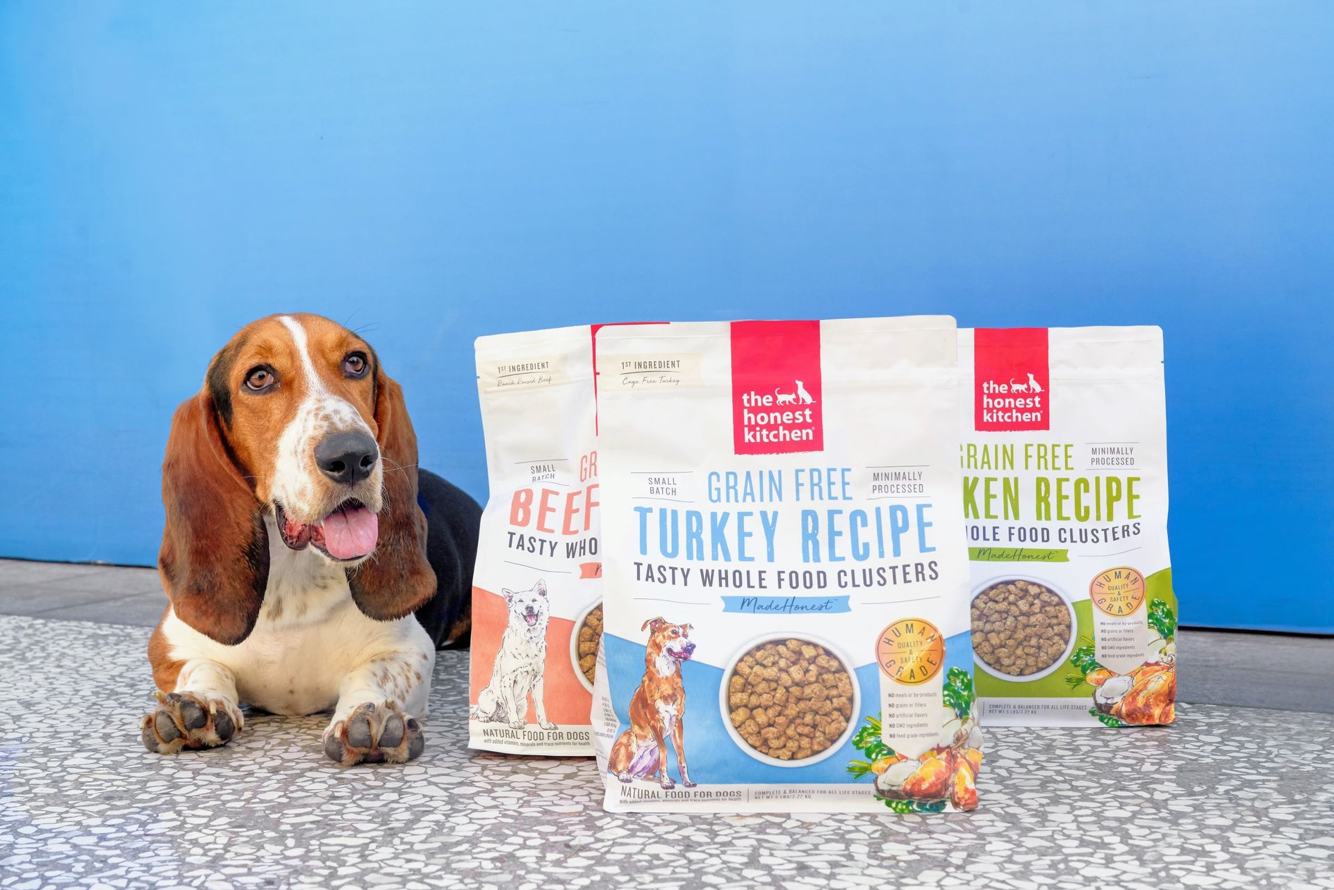 https://healthyspot.com/cdn/shop/articles/the-honest-kitchen-clusters-dog-food-healthy-spot-cashew-basset-hound.jpg?v=1564514305&width=1920