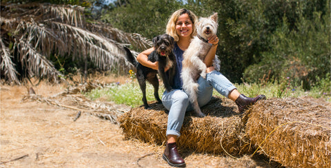 How Raw Food Changed 4 Pup’s Lives