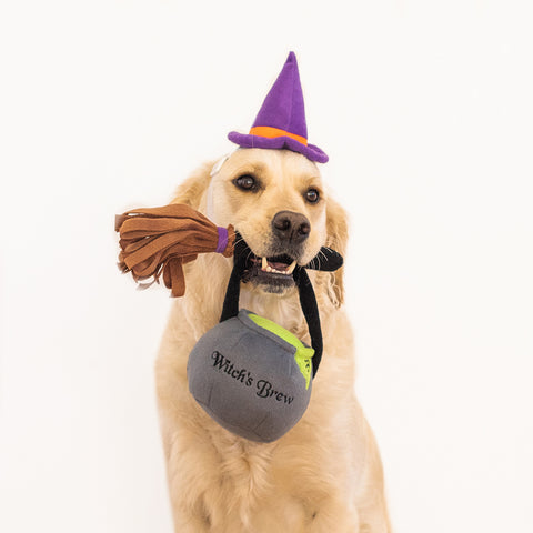 Zippy Paws Halloween Dog Costume Kit - Witch