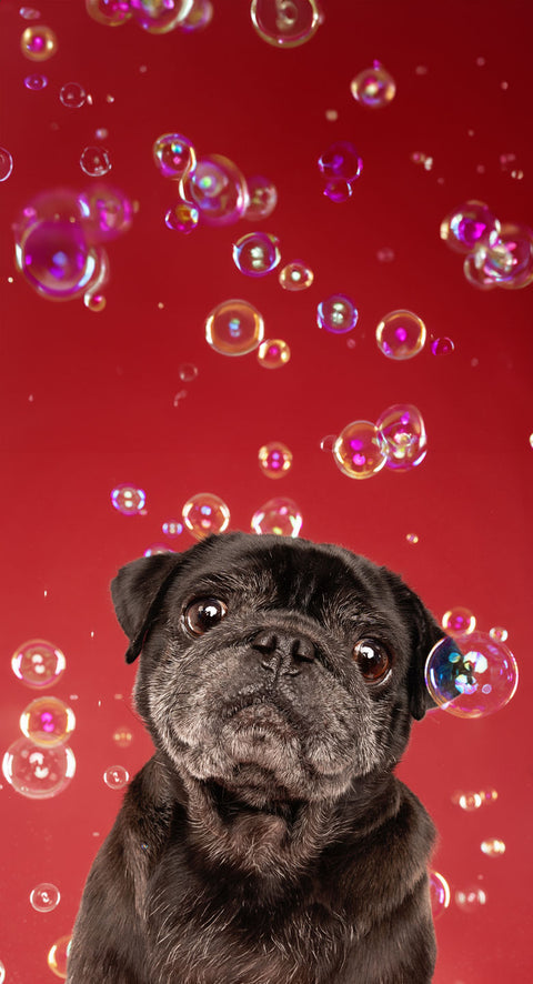 SHOP BLACK FRIDAY DEALS