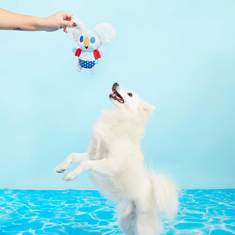 Lifestyle Image of Fluffy White Dog Plsying with Grey Plush Koala in a Swimsuit and Floaties