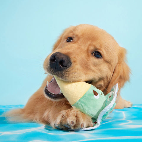 Lifestyle Image of golden Retriever Playing with Plush Melting Mint Ice Cream Cone Dog Toy