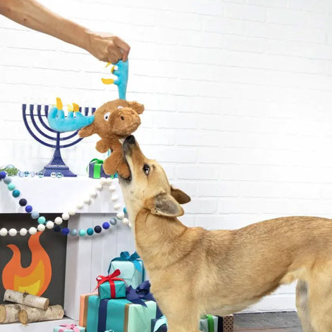 Bark Menorah Moose Dog Toy | Lifestyle Image of Large Dog with Plush Moose with Menorah Ears