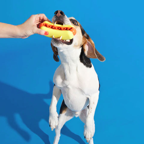 Lifestyle Image of Dog Playing with Rubber Hot Dog Dog Toy