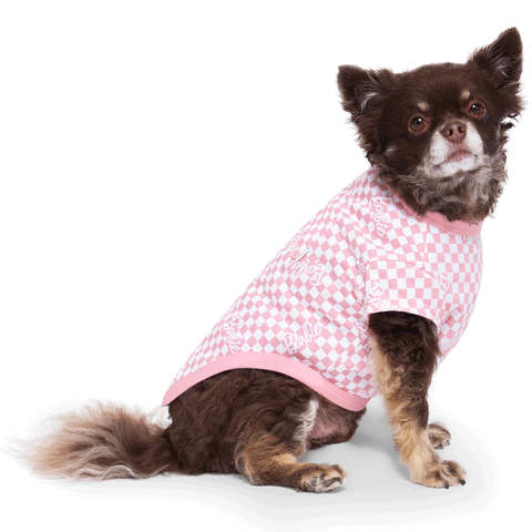Barbie™ Follow Me Tee - Checker | Lifestyle Image of Pink and White Checker Tee for Pets
