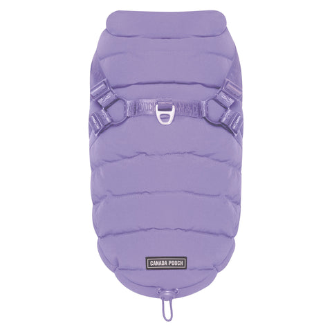 Purple dog coat with 'Canada Pooch' label on a white background