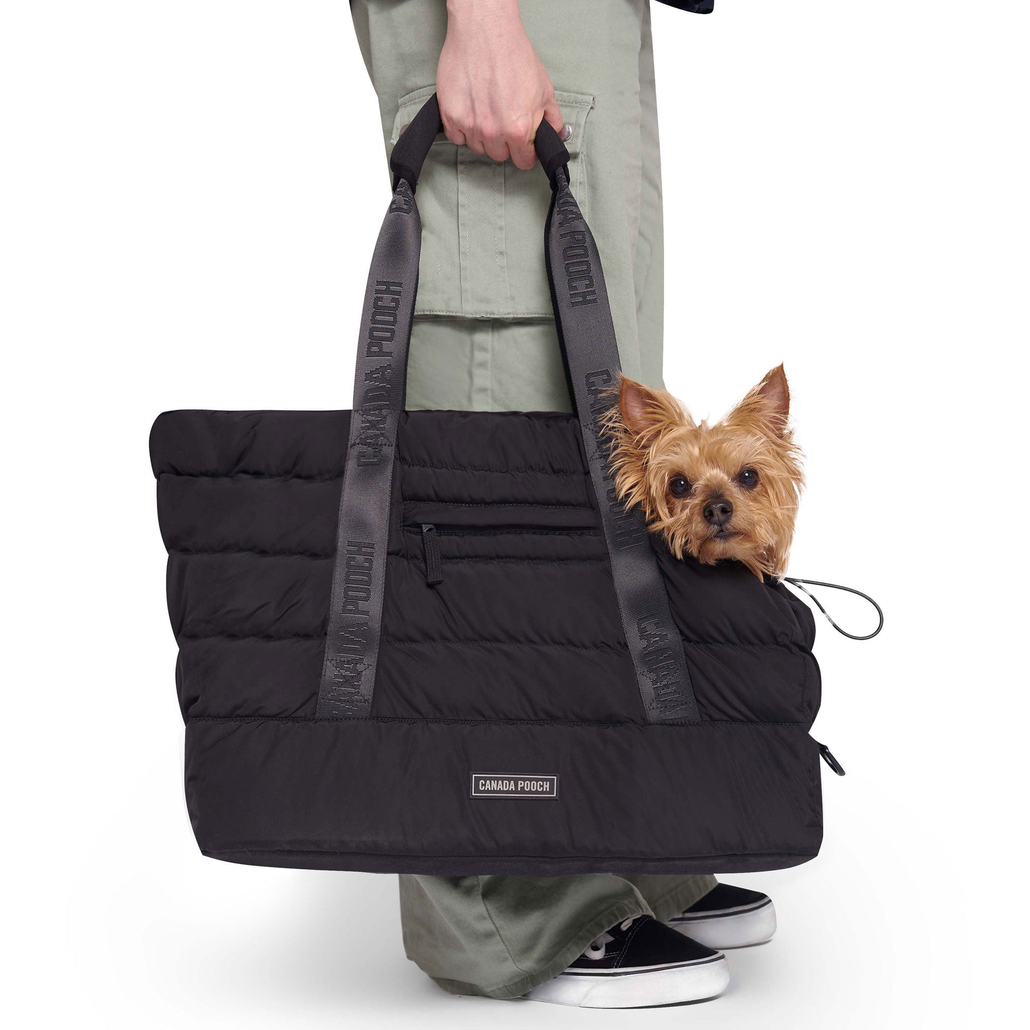 Peak pooch carrier hotsell