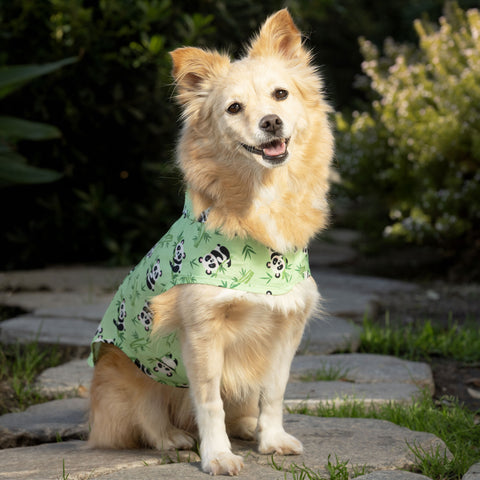 Canada Pooch Pick Me Poncho - Pandas | Lifestyle Image