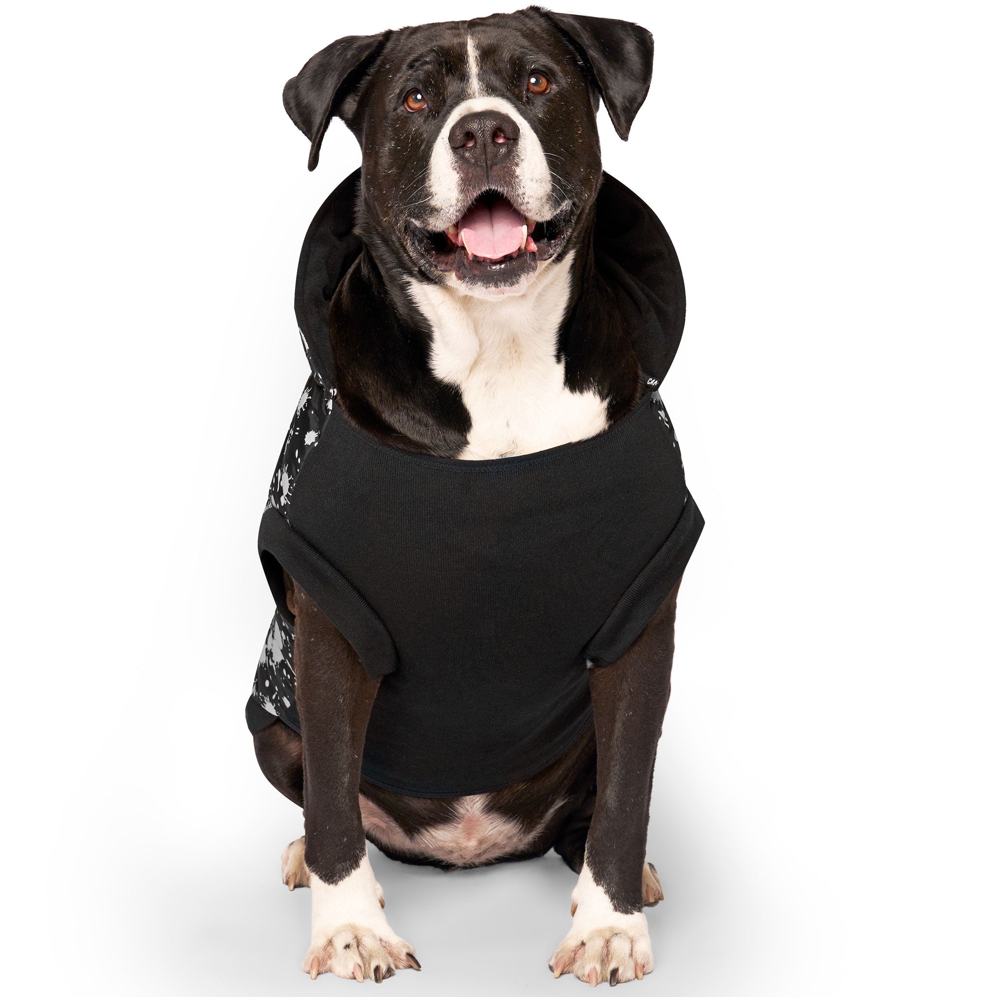 Canada Pooch Prism Puffer Black Splatter Glow HEALTHY SPOT