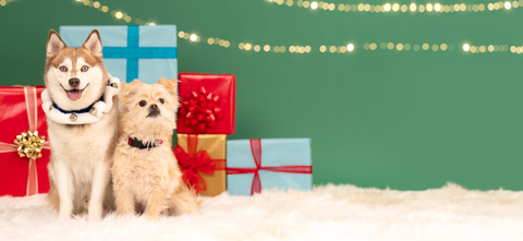 PAWLIDAY GIFT GUIDE
