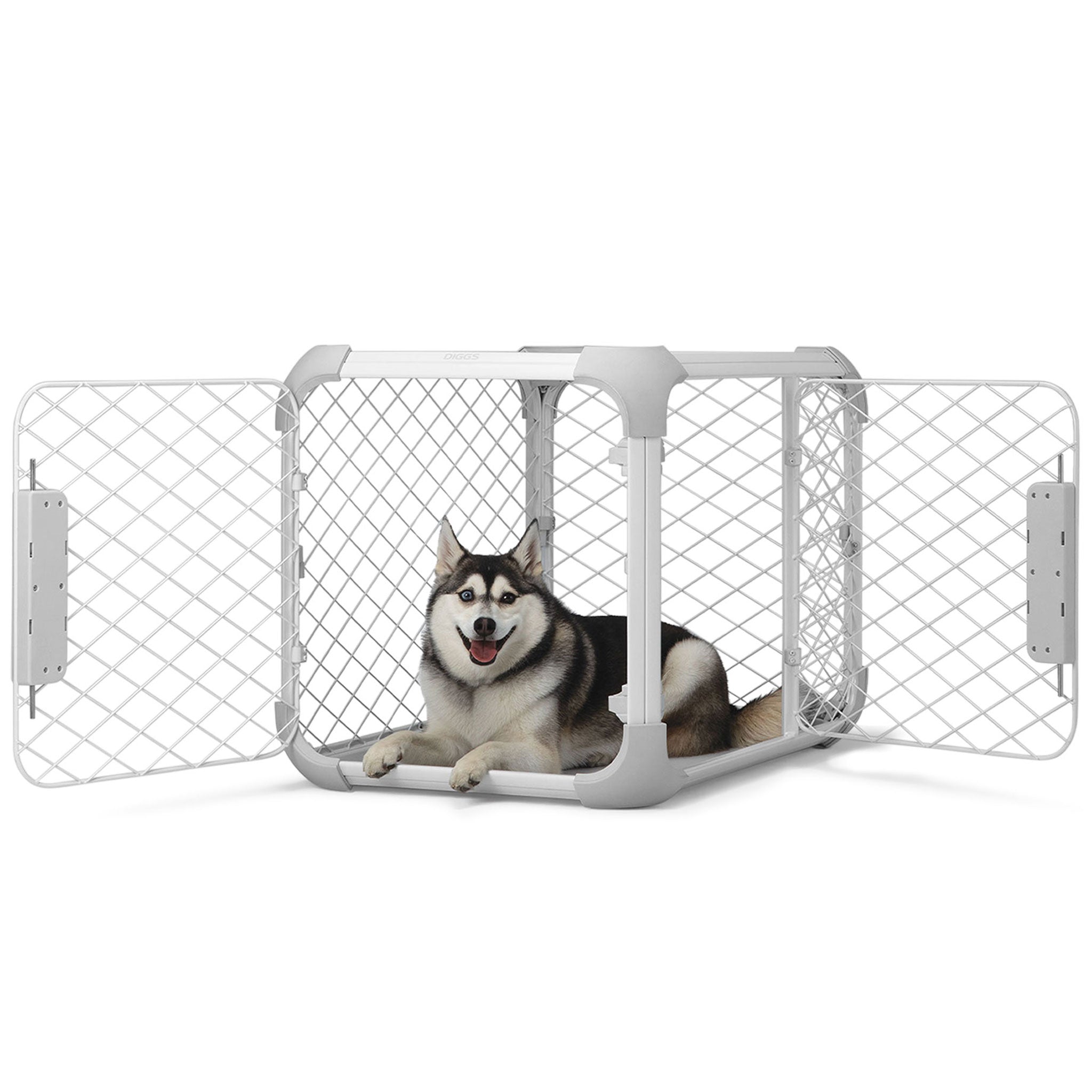 Diggs_Evolv_Dog_Crate_Dog_Ash_