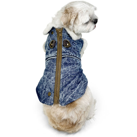Dogo Pet Fashions Runner Coat - Denim | Lifestyle Image of Small Dog in Denim and Sherpa Coat