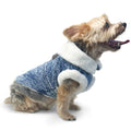 Dogo Pet Fashions Runner Coat - Denim | Lifestyle Image of Small Dog in Denim and Sherpa Coat