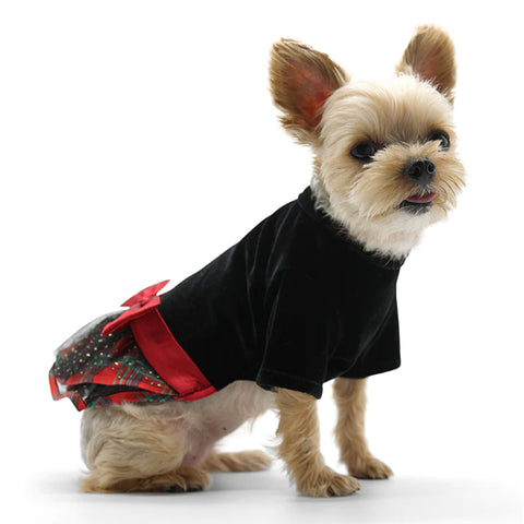 Dogo Pet Fashions Velvet Plaid Dress - Black & Red | Lifestyle Image of Small Dog with Red and Black Pet Dress