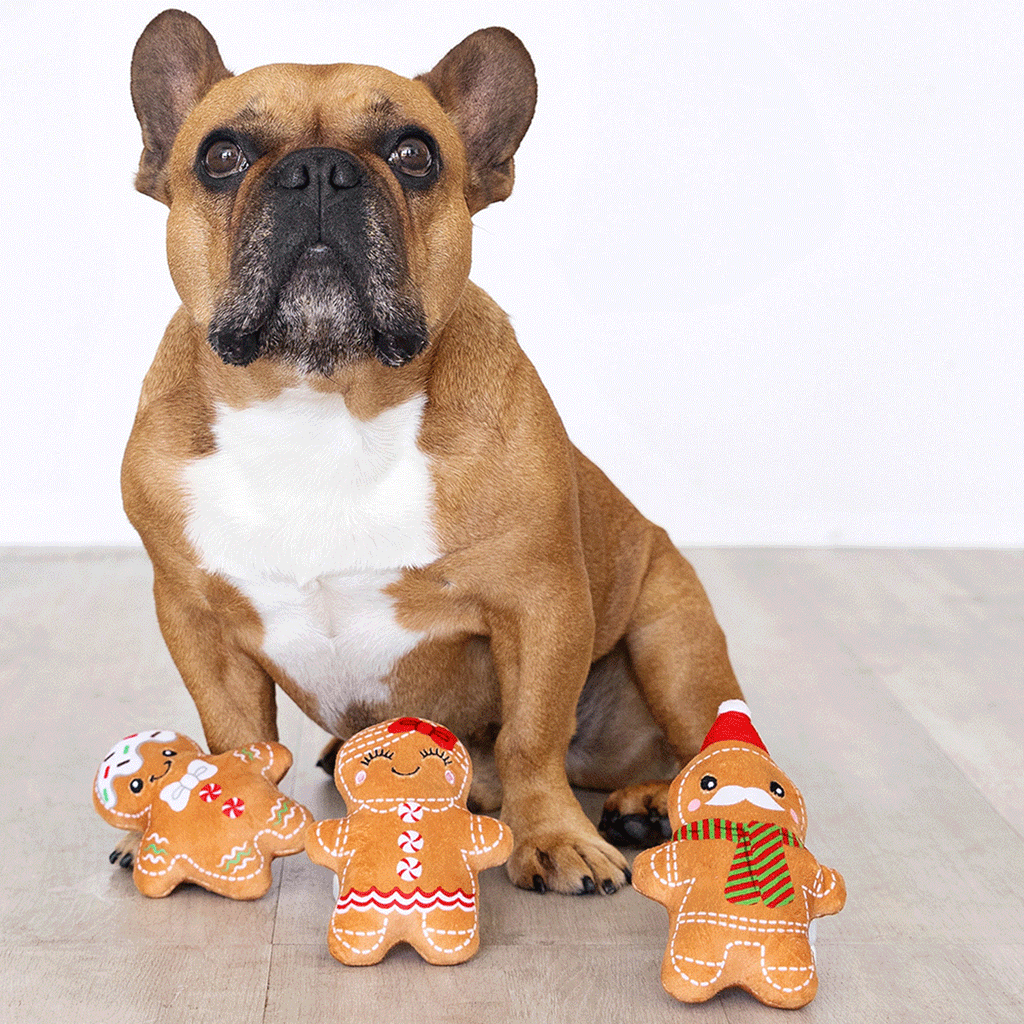 Fringe Gingerbread Everything Dog Toys HEALTHY SPOT